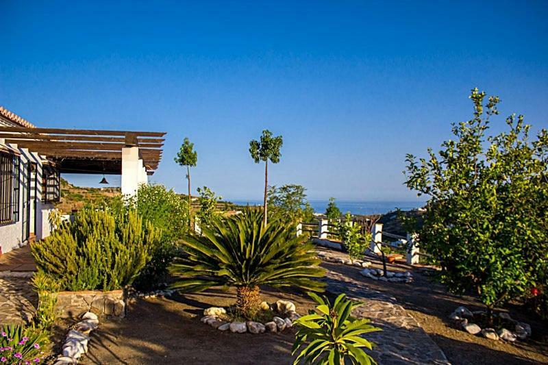 Villa Del Sol ฟรีฮิเลียนา ภายนอก รูปภาพ